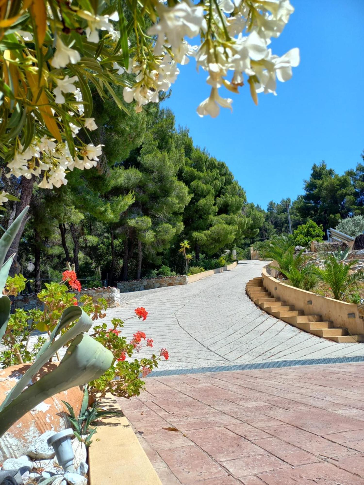 Core Luxury Suites Skiathos Chora Extérieur photo